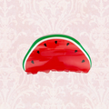 Watermelon Hair Claw Clip
