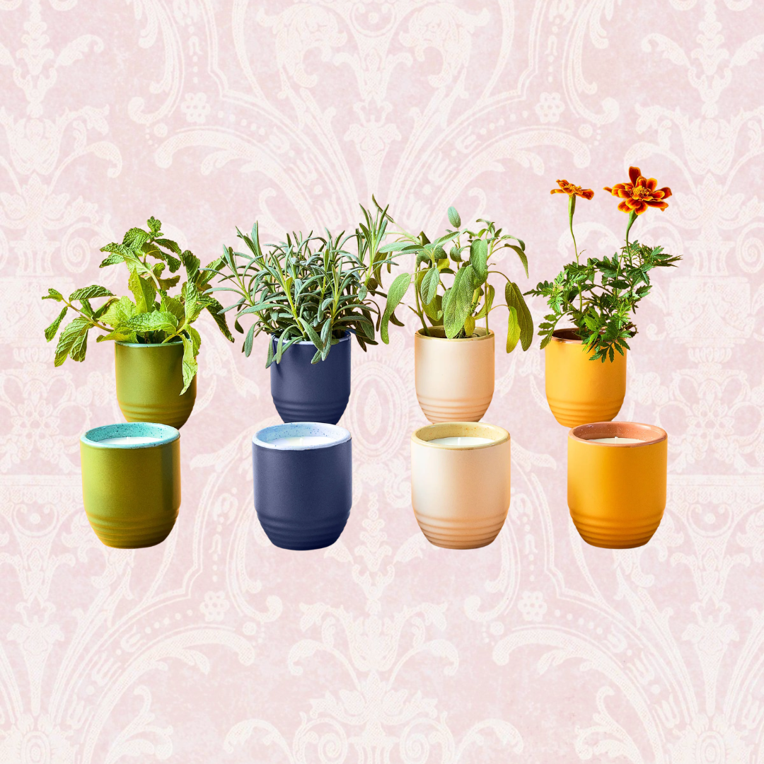 Candle/Planter 2-in-1