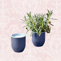 Candle/Planter 2-in-1