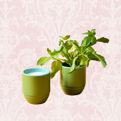 Candle/Planter 2-in-1