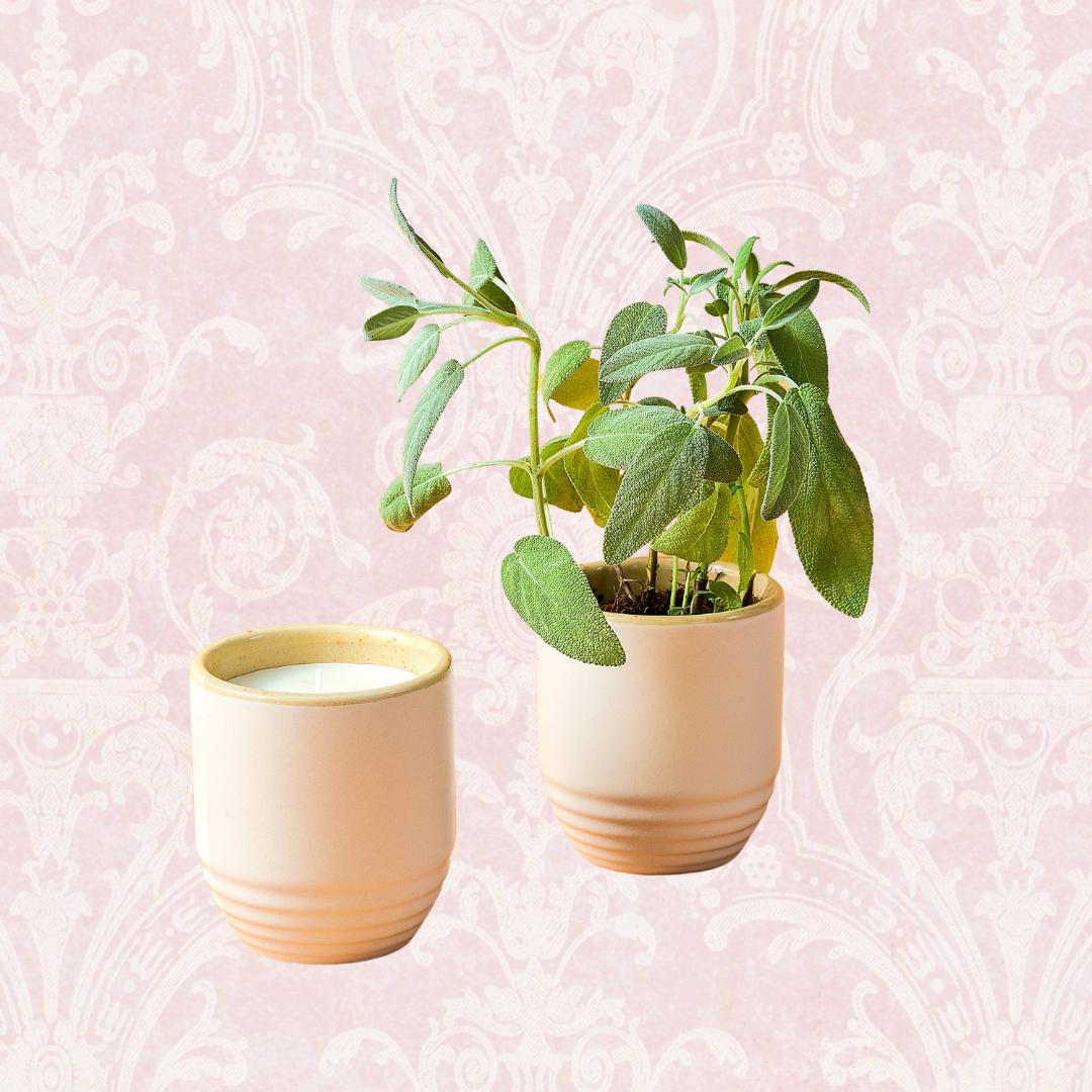 Candle/Planter 2-in-1