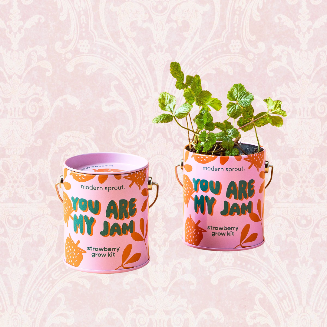 Plant Grow Kits