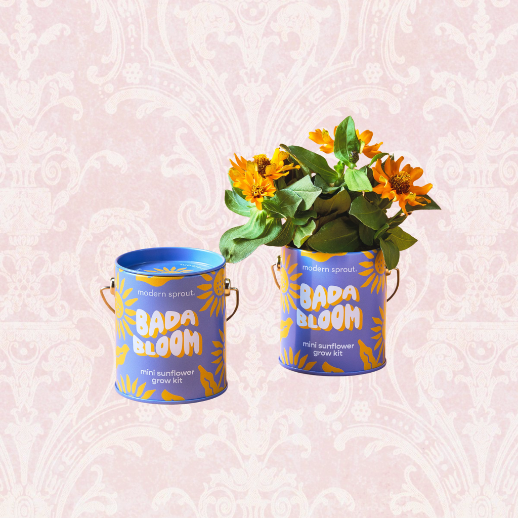 Plant Grow Kits