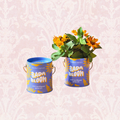 Plant Grow Kits