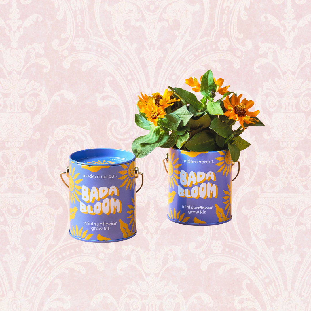 Plant Grow Kits