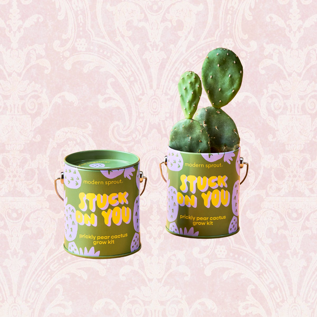 Plant Grow Kits
