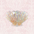 Shell Hair Claw Clip
