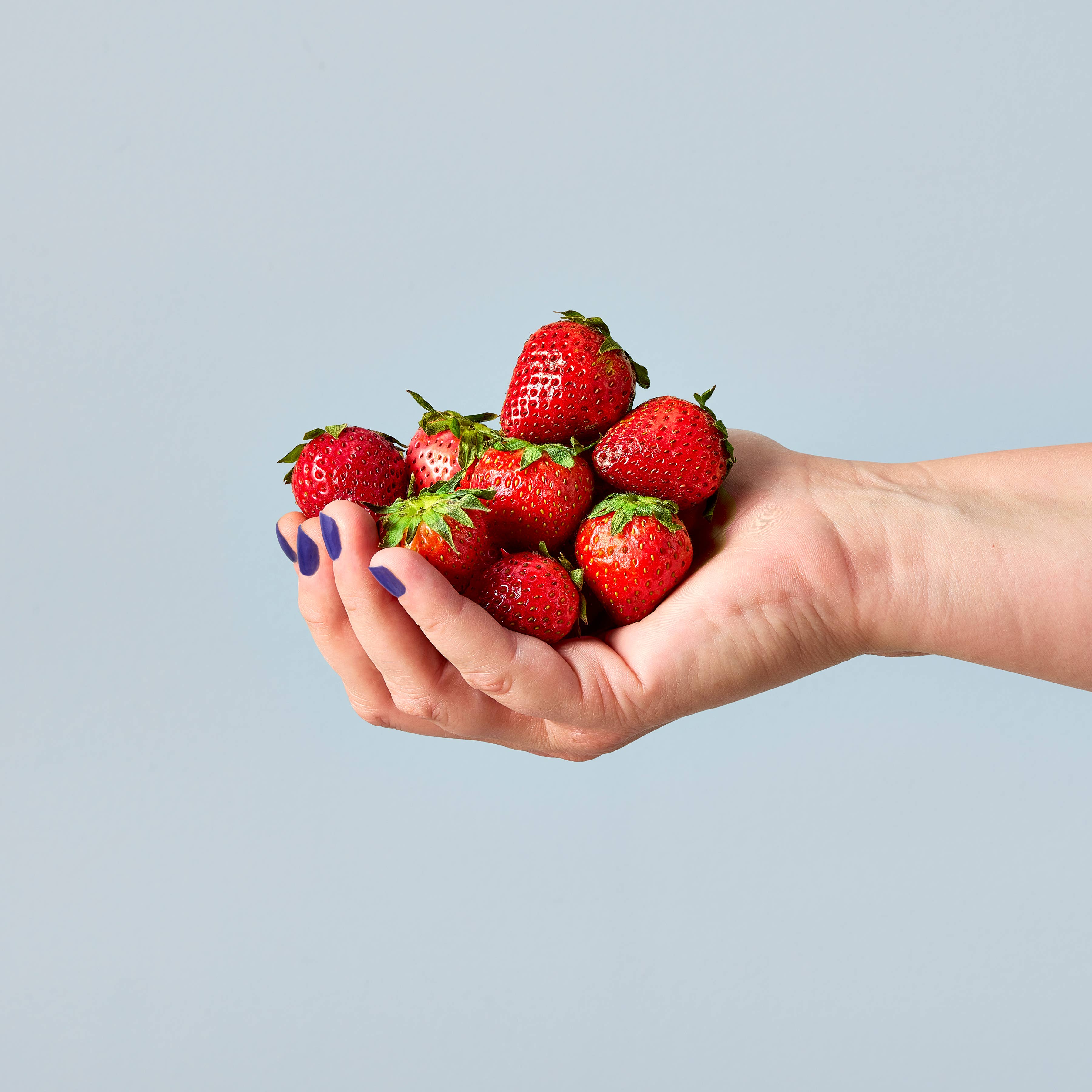 Garden Seed Pop (Single): Strawberry