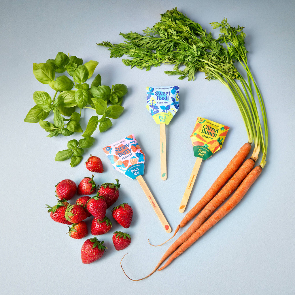 Garden Seed Pop (Single): Strawberry