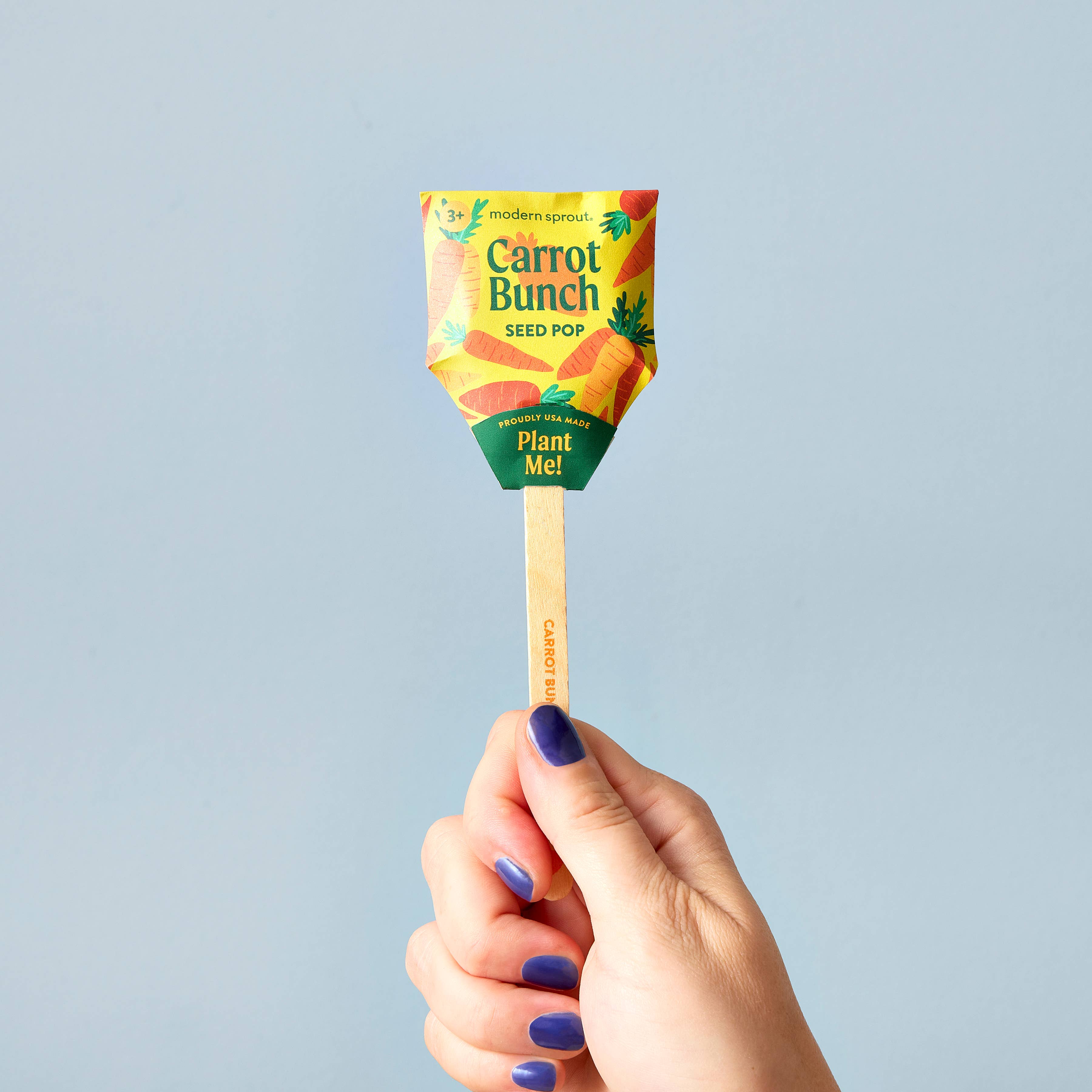 Garden Seed Pop (Single): Strawberry